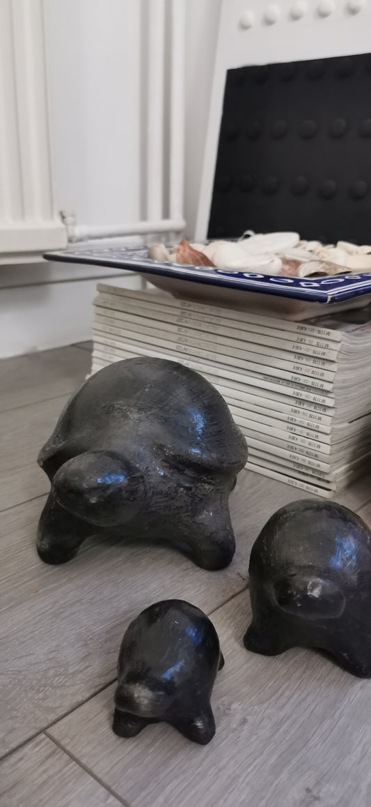 LES TORTUES DE SEJNANE