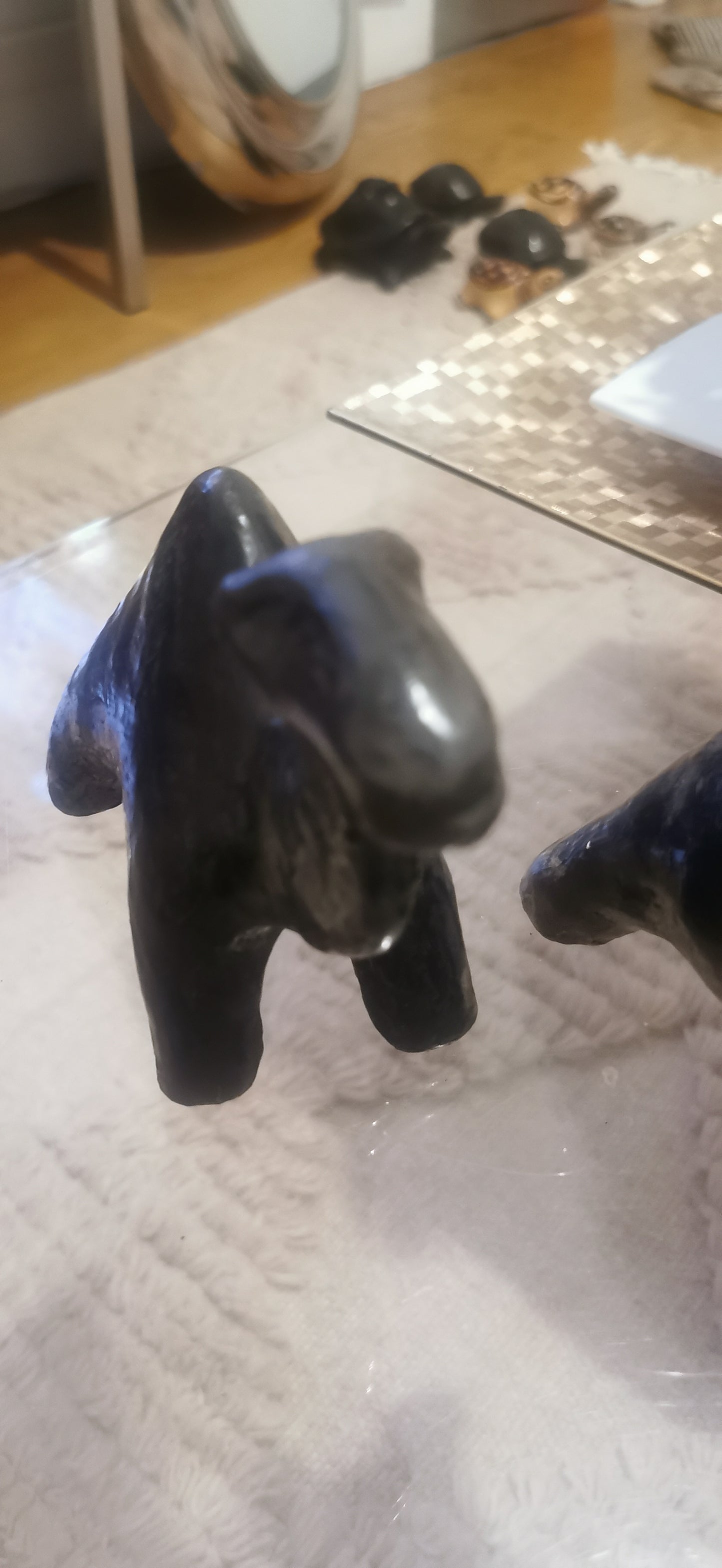 Mini Dromadaire