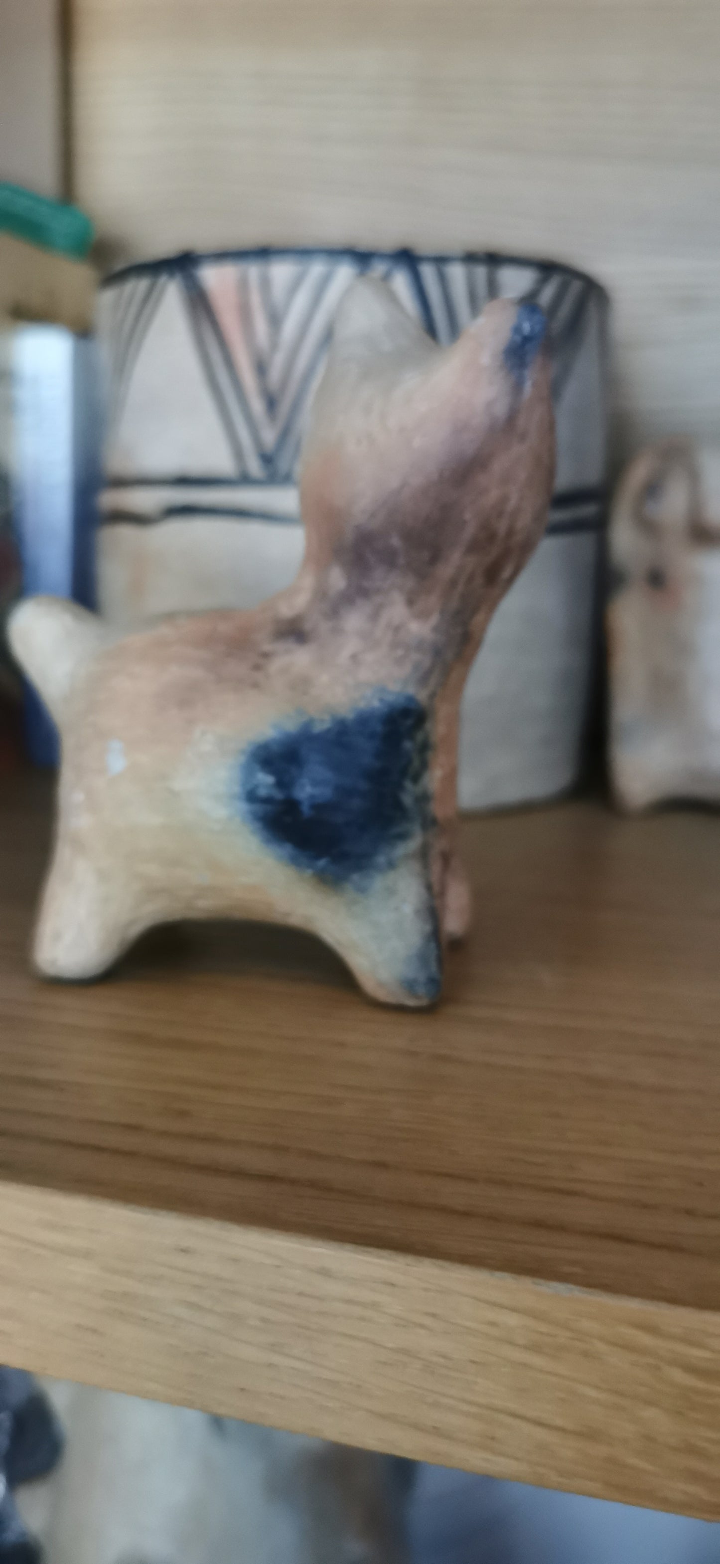 Mini chaton sejnane