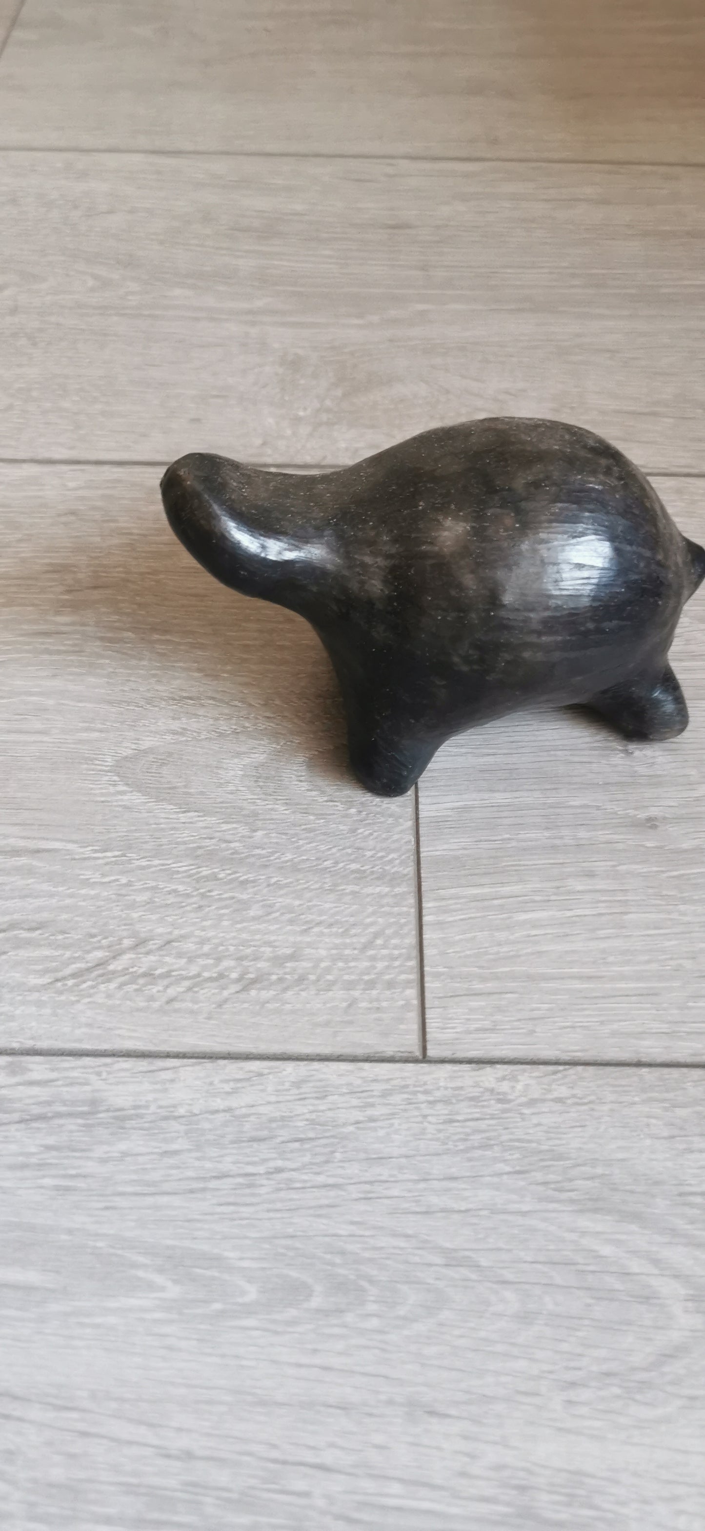 PETITE TORTUE