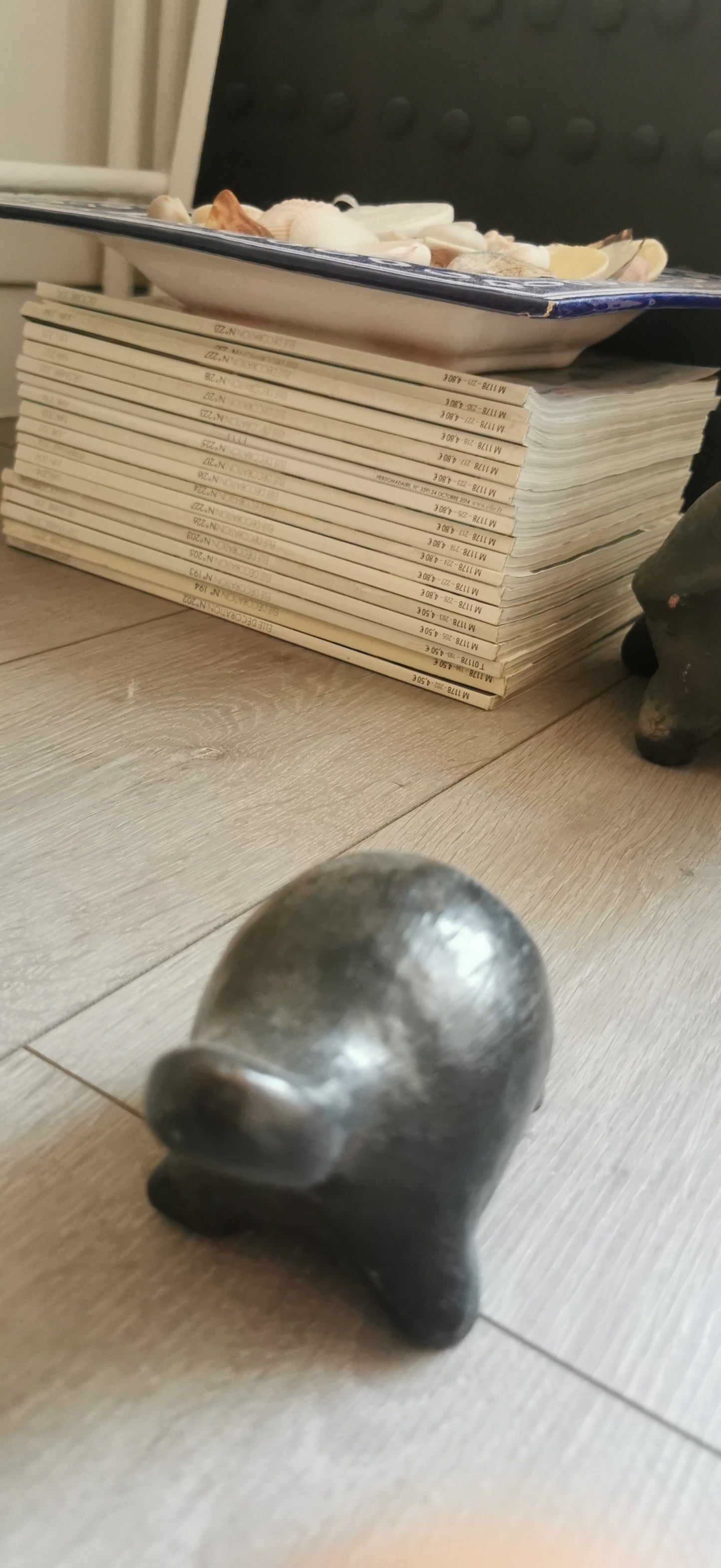 PETITE TORTUE
