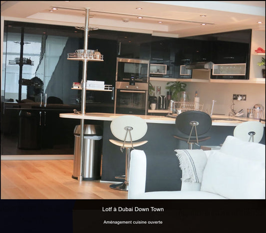 PROJET DUBAI DOWTOWN