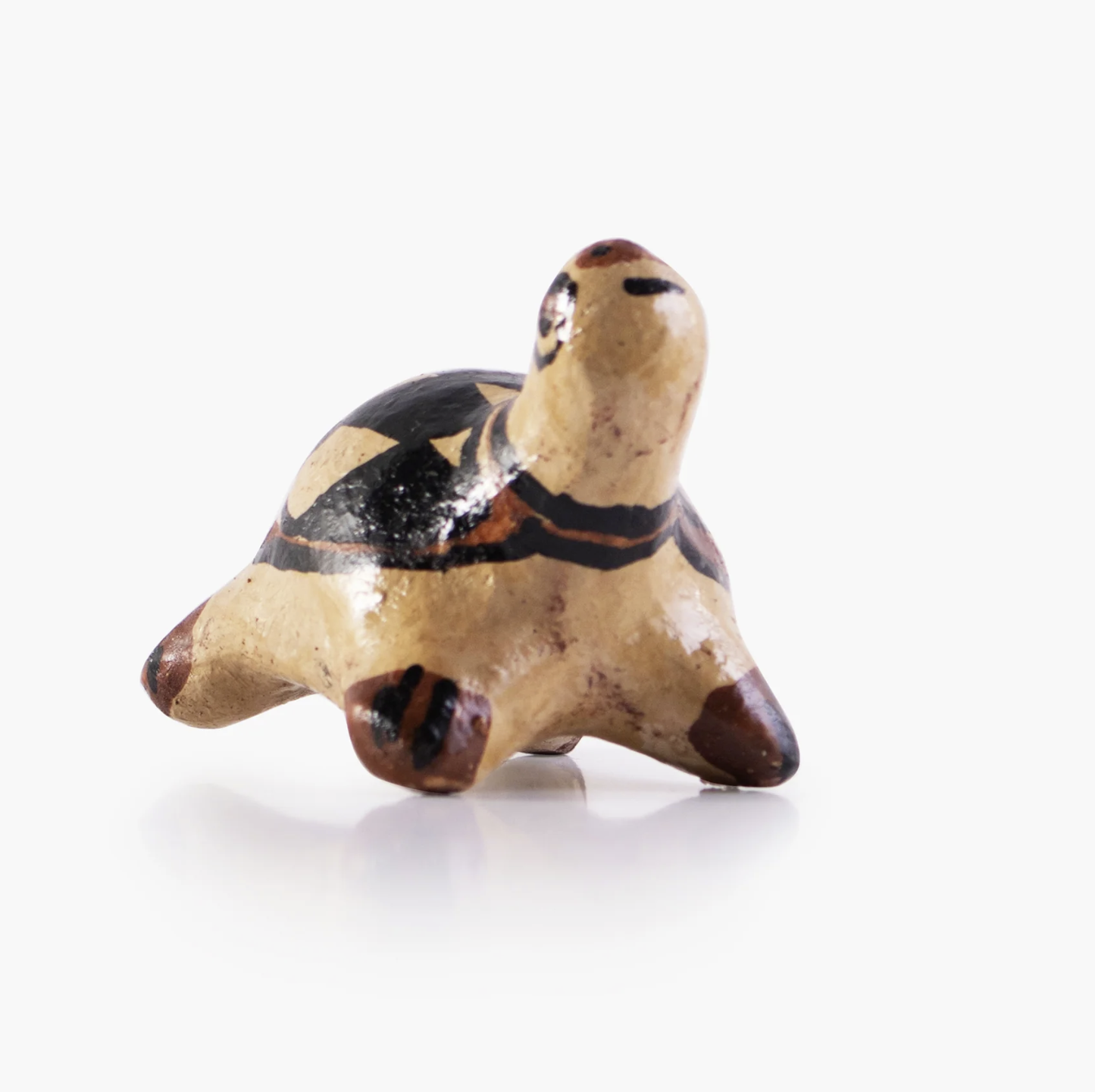 MINI TORTUES