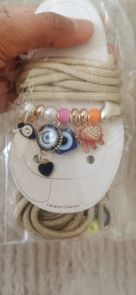 Bijoux de chaussures