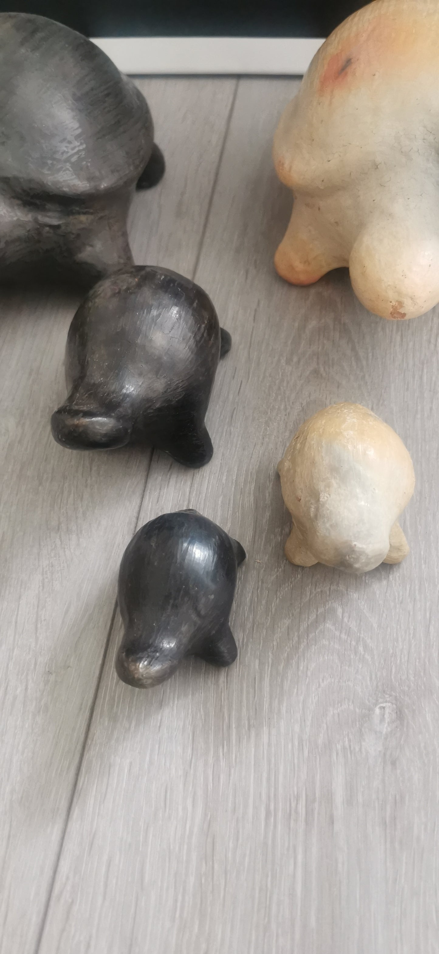 MINI TORTUE NOIR