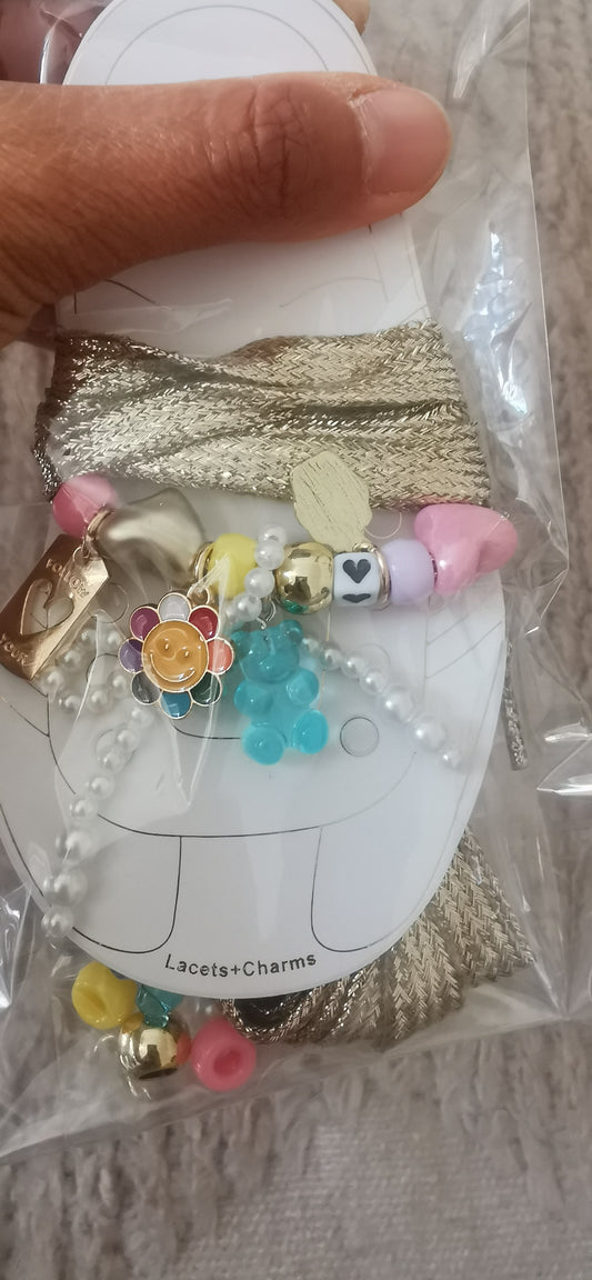 Bijoux de chaussures