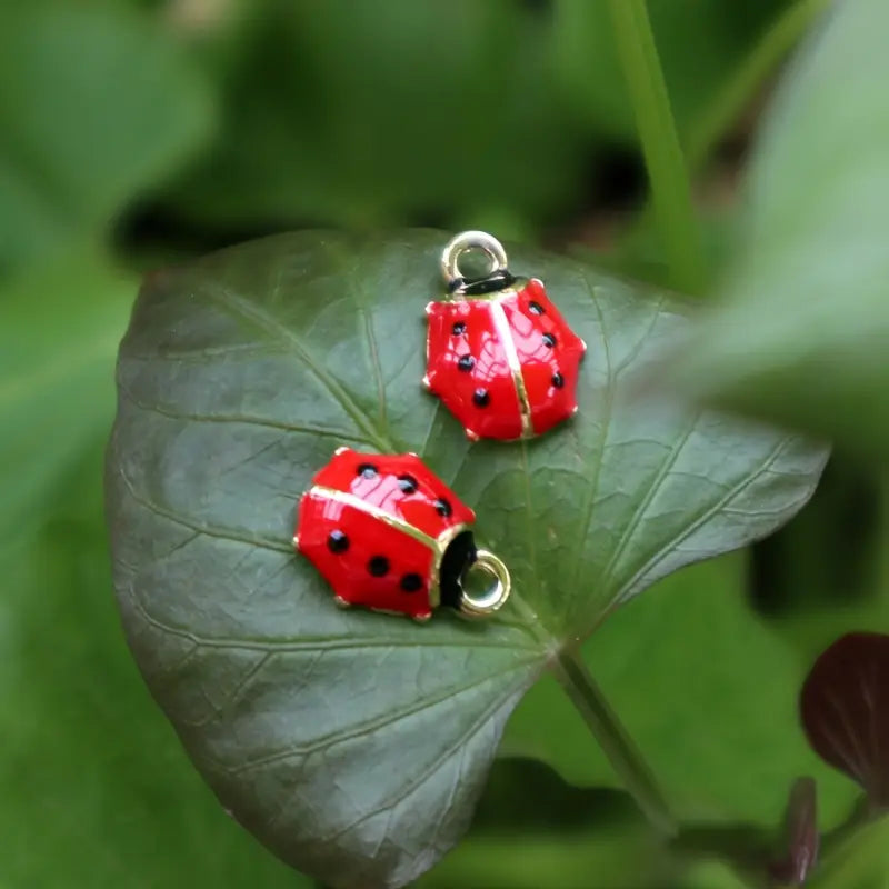 CHARMS NUMERO 33 - COCCINELLE 🐞