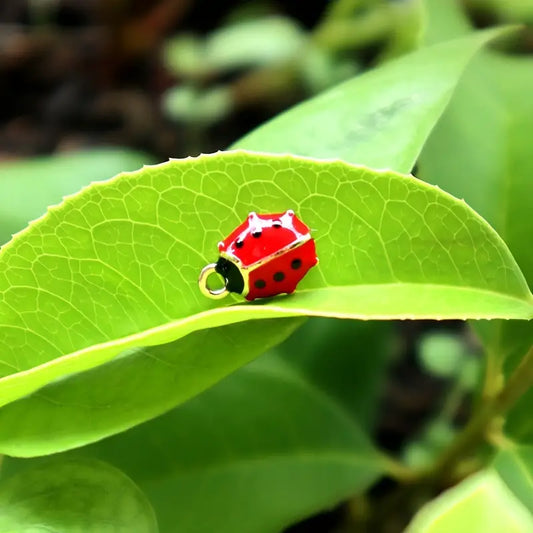 CHARMS NUMERO 33 - COCCINELLE 🐞