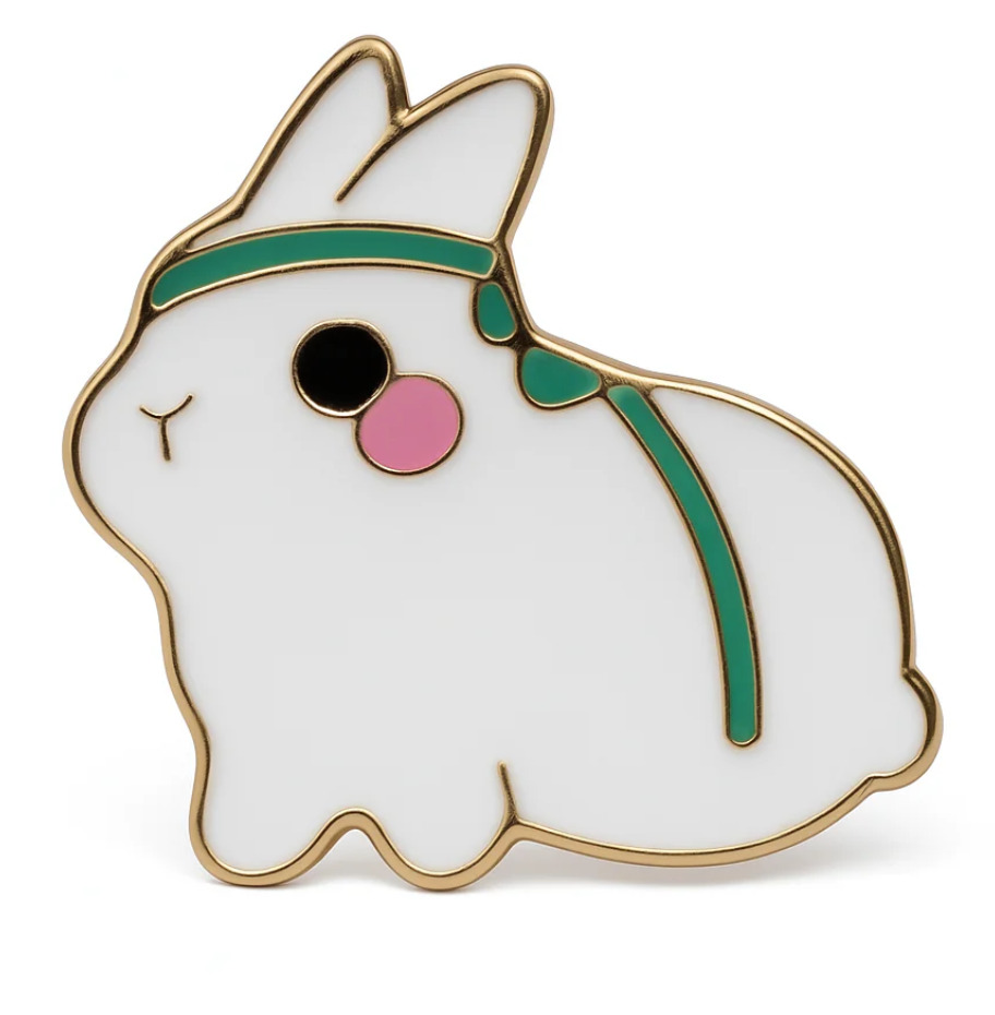LE PIN'S LAPIN