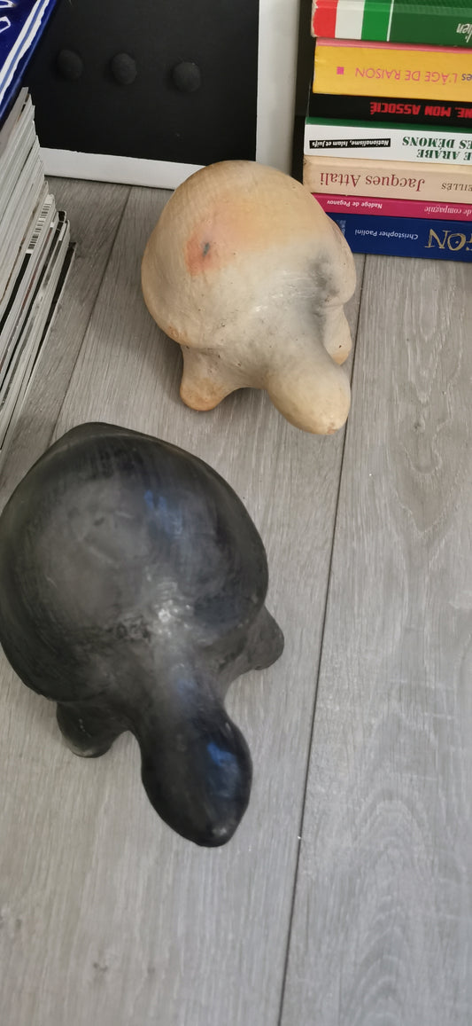 LES TORTUES DE SEJNANE