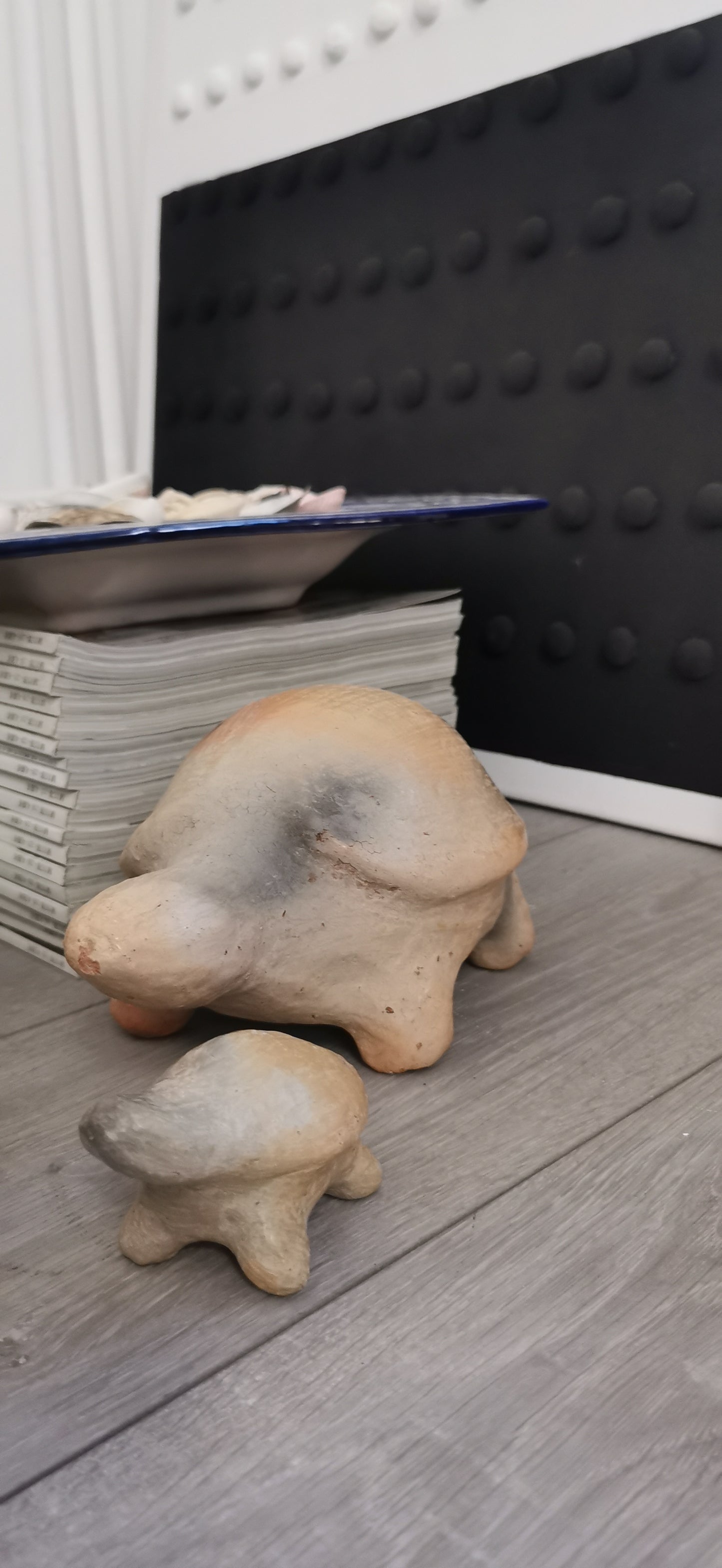 LES TORTUES DE SEJNANE