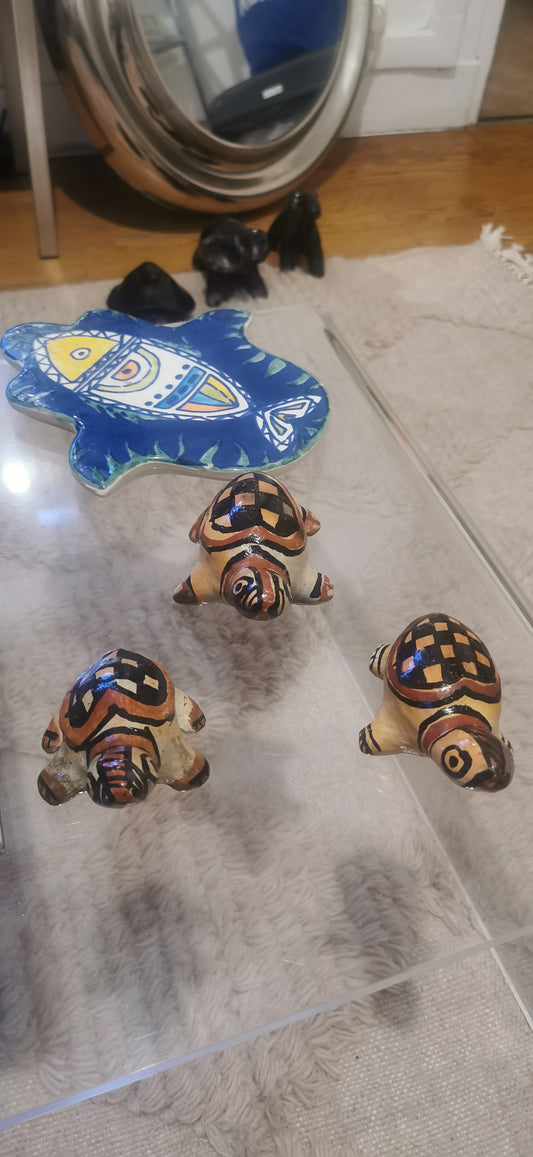MINI TORTUES