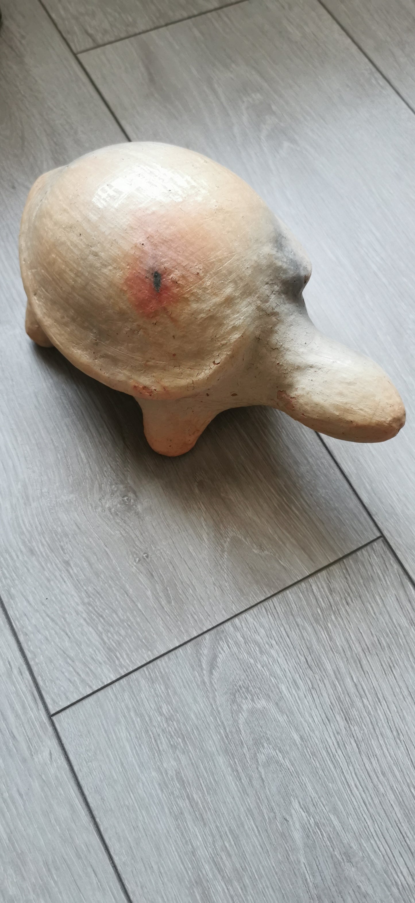 LES TORTUES DE SEJNANE