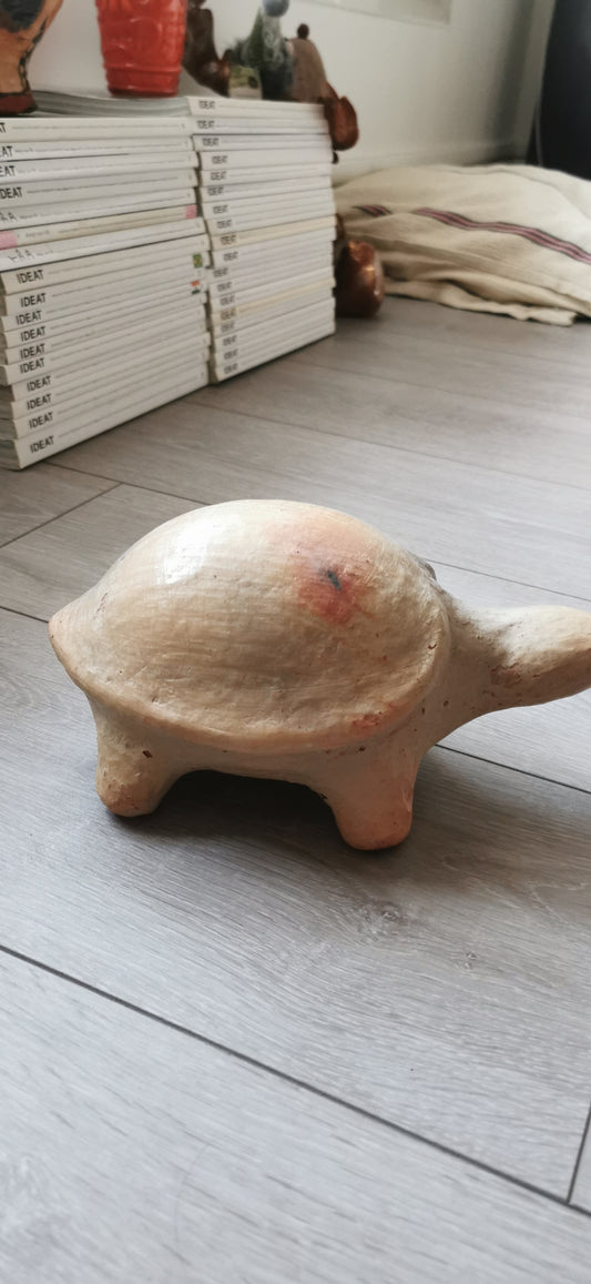 PETITE TORTUE