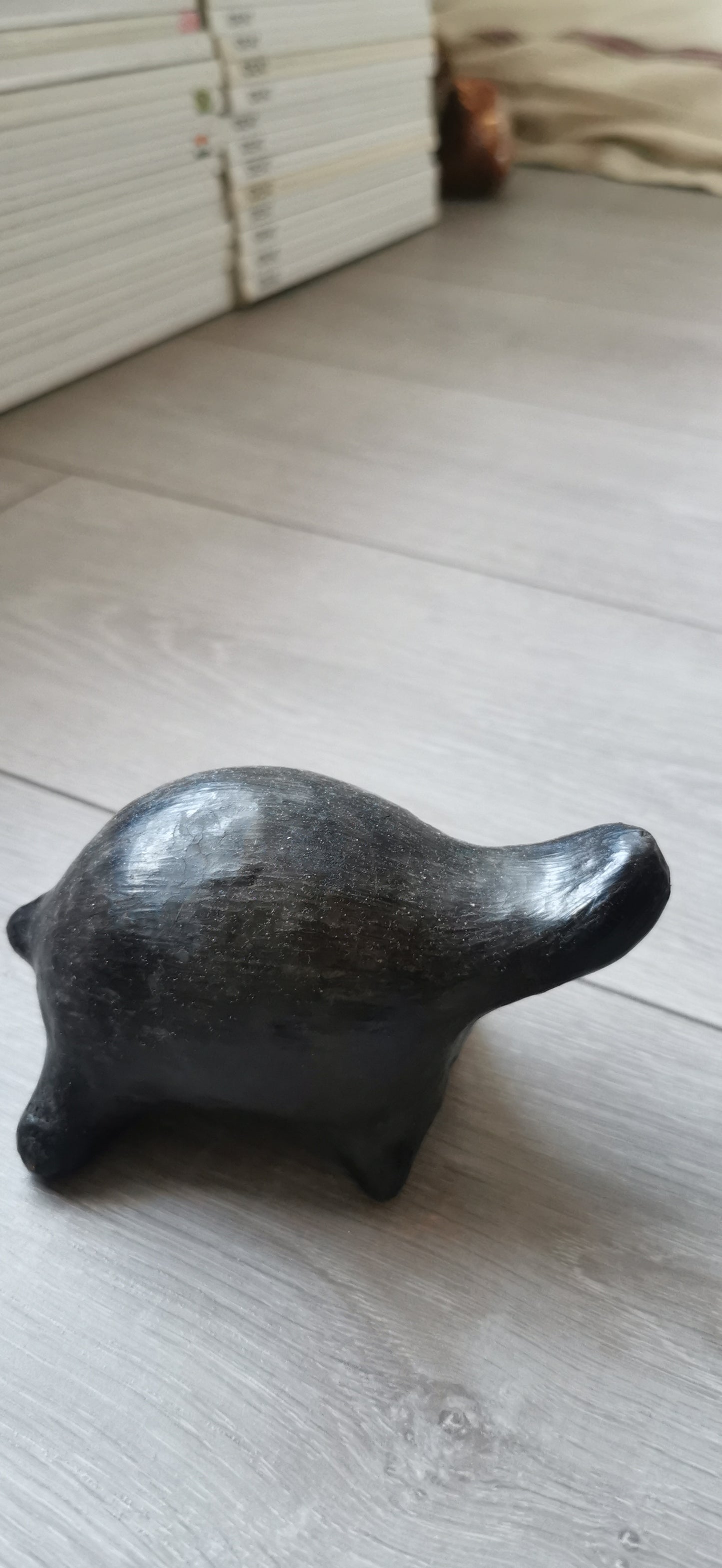 LES TORTUES DE SEJNANE