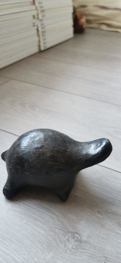 LES TORTUES DE SEJNANE