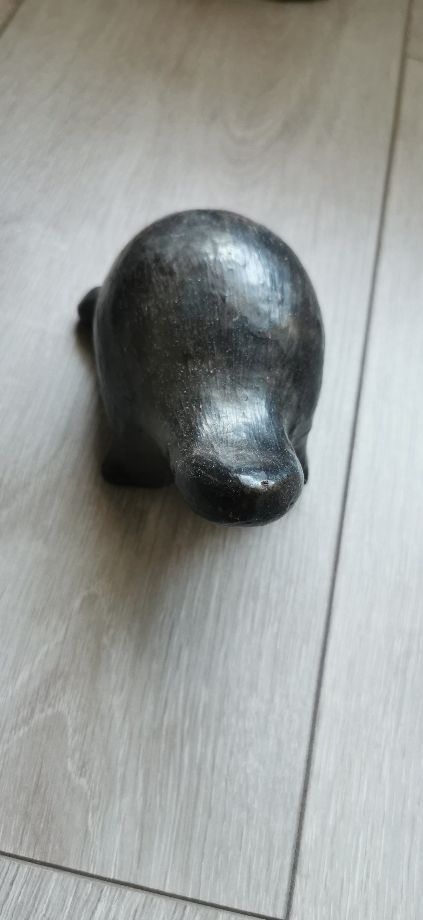 LES TORTUES DE SEJNANE