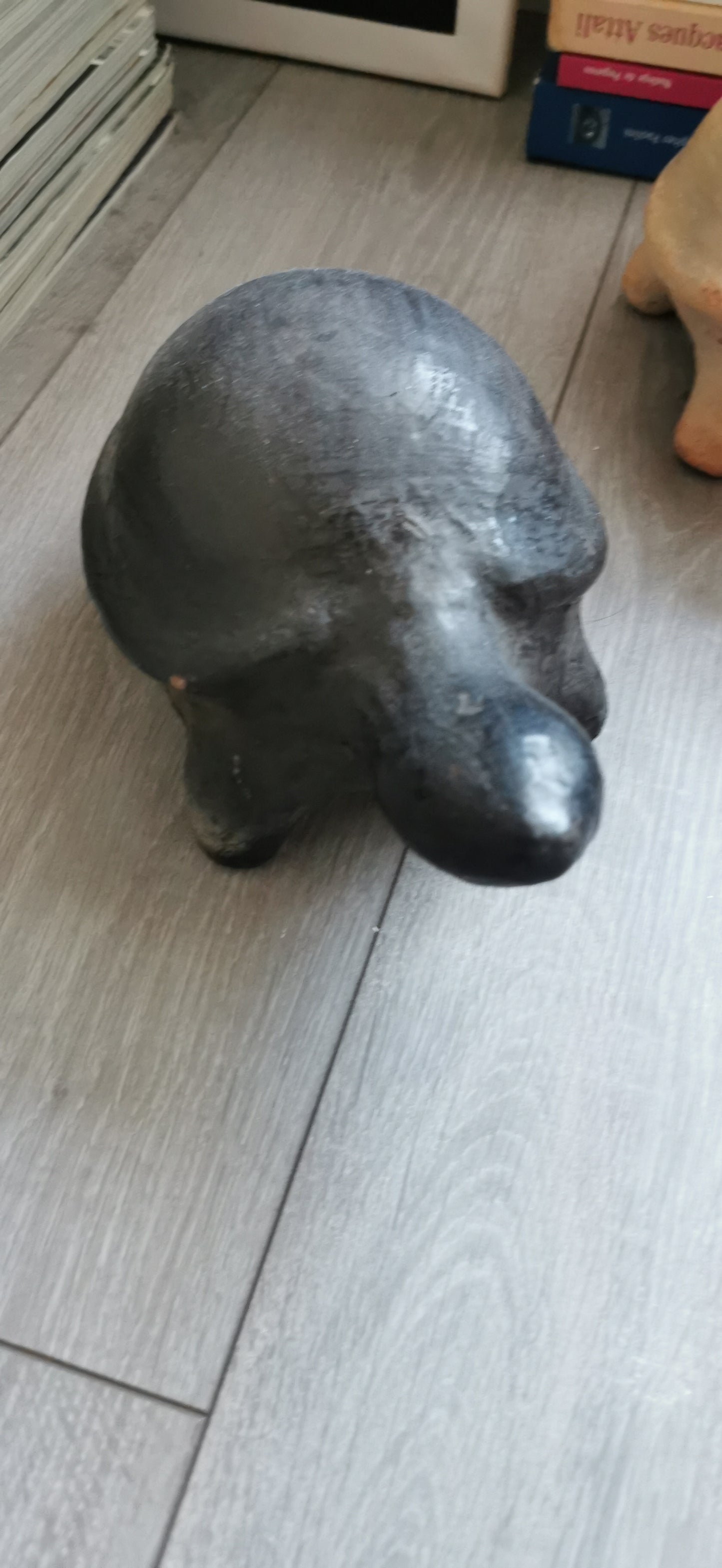 LES TORTUES DE SEJNANE