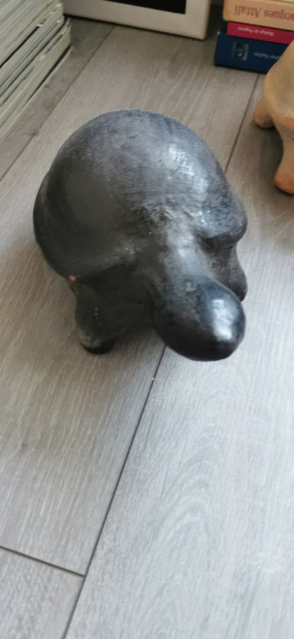 LES TORTUES DE SEJNANE