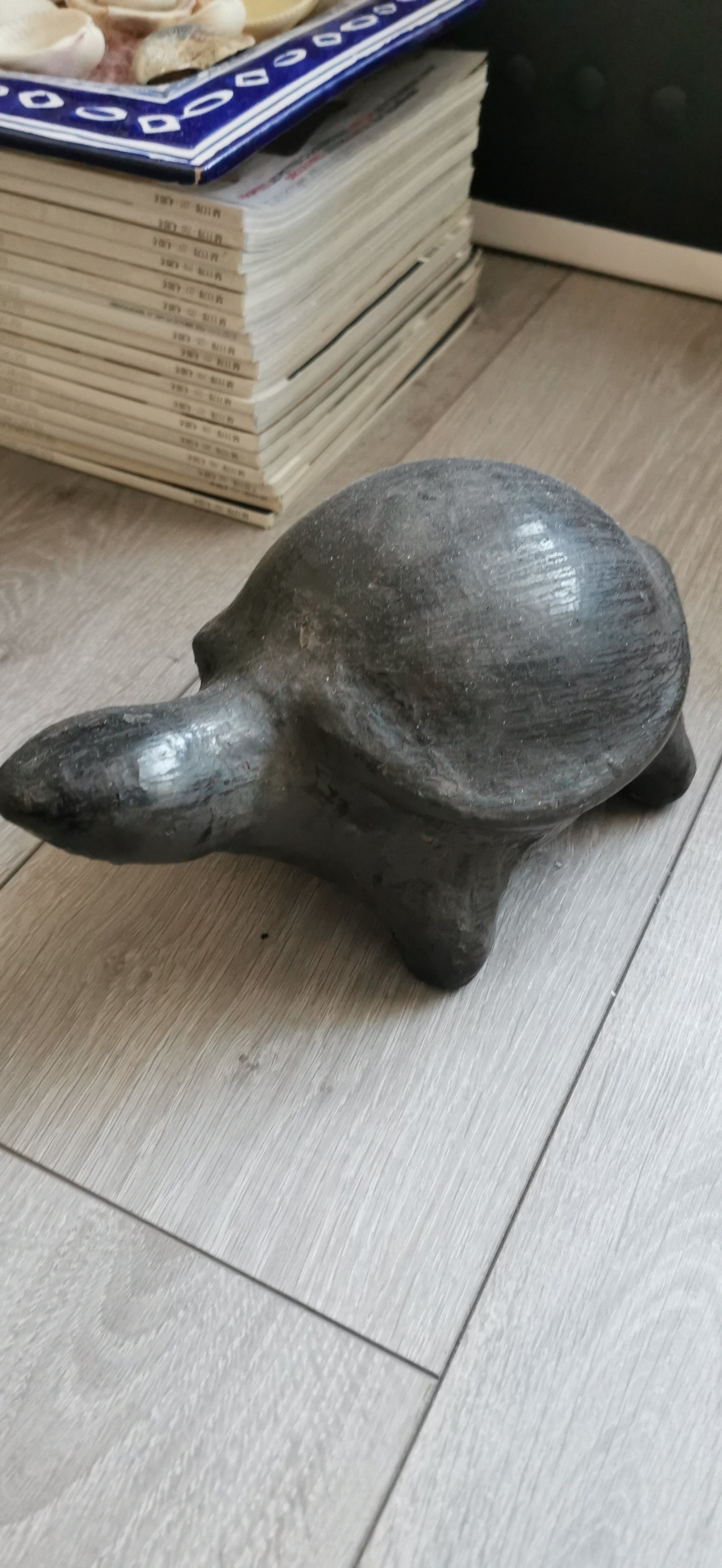 LES TORTUES DE SEJNANE