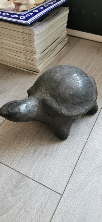 LES TORTUES DE SEJNANE