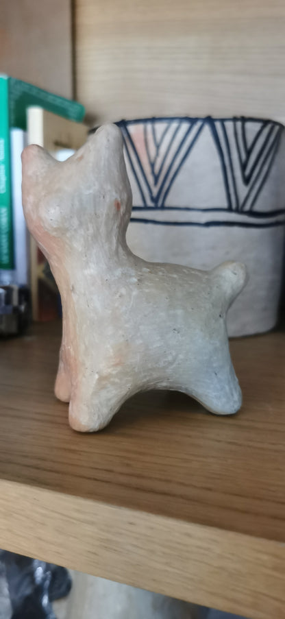 Mini chaton sejnane