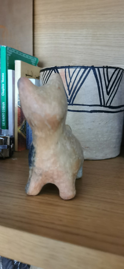 Mini chaton sejnane