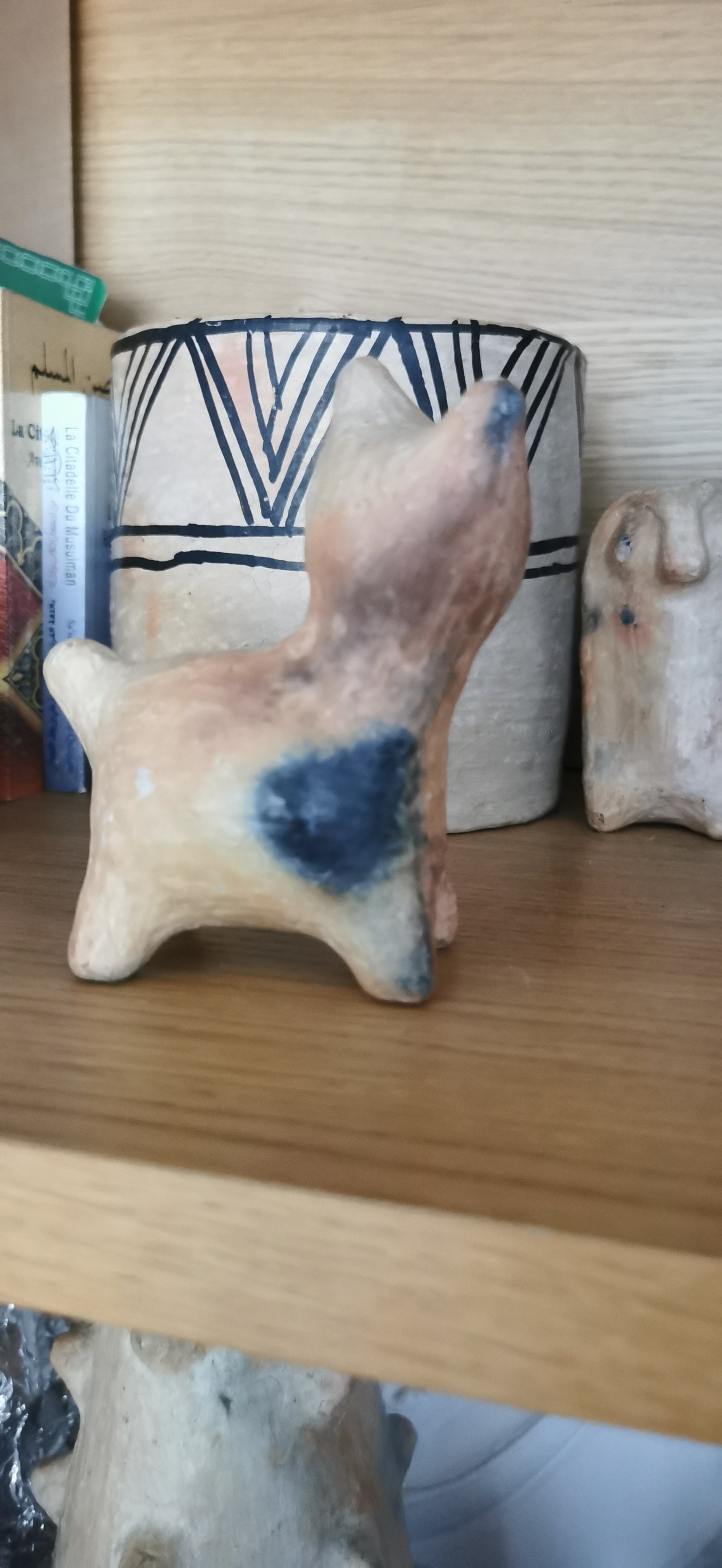 Mini chaton sejnane