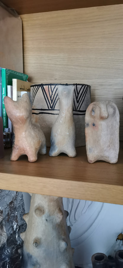 Mini chaton sejnane