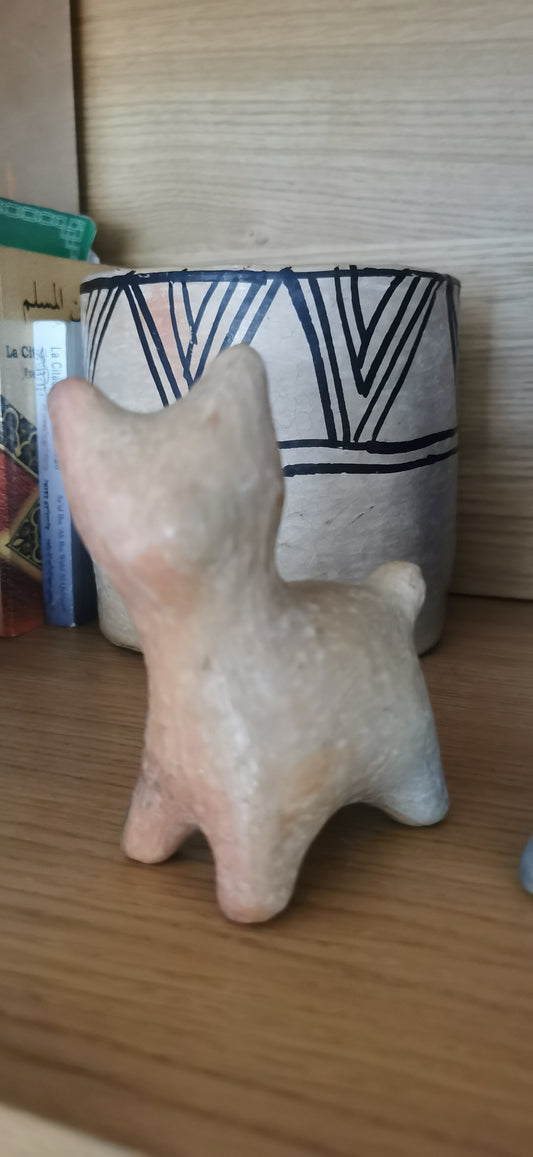 MINI CHAT SEJNANE