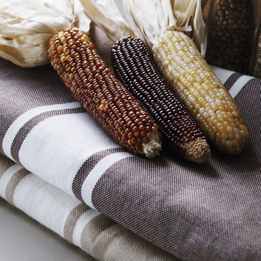FOUTA