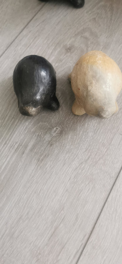 MINI TORTUE BEIGE