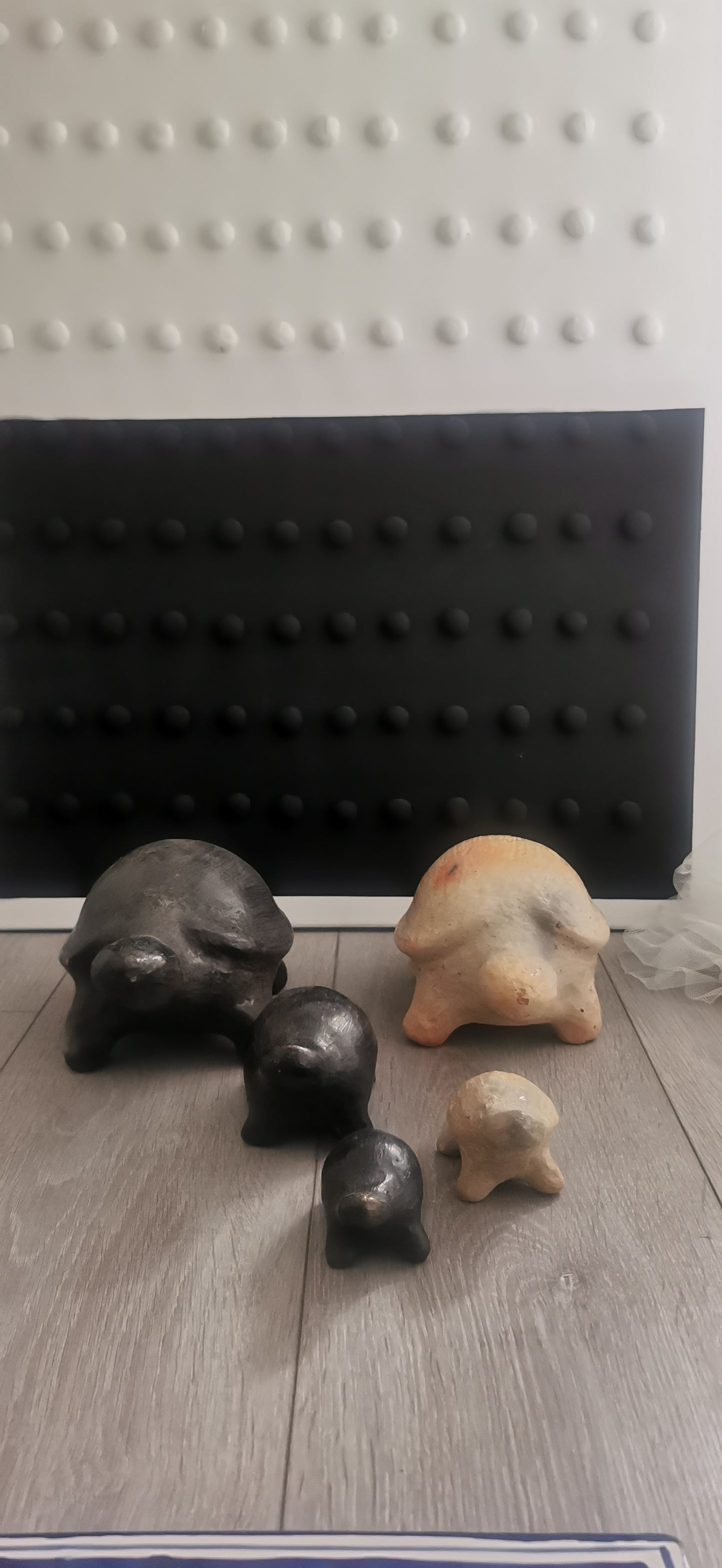 MINI TORTUE NOIR