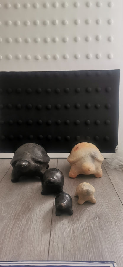 MINI TORTUE NOIR